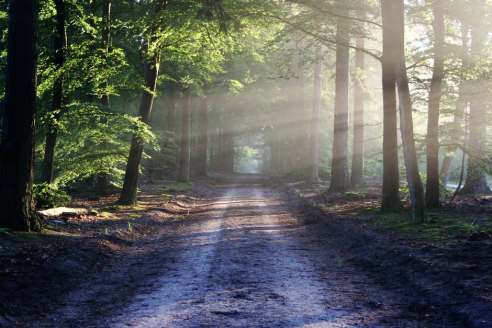 road-sun-rays-path