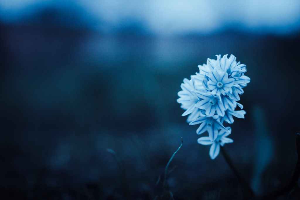 La bellezza della&nbsp;fragilità