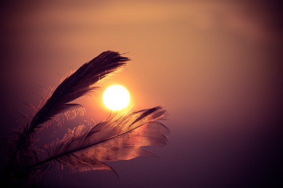 sunset-feathers