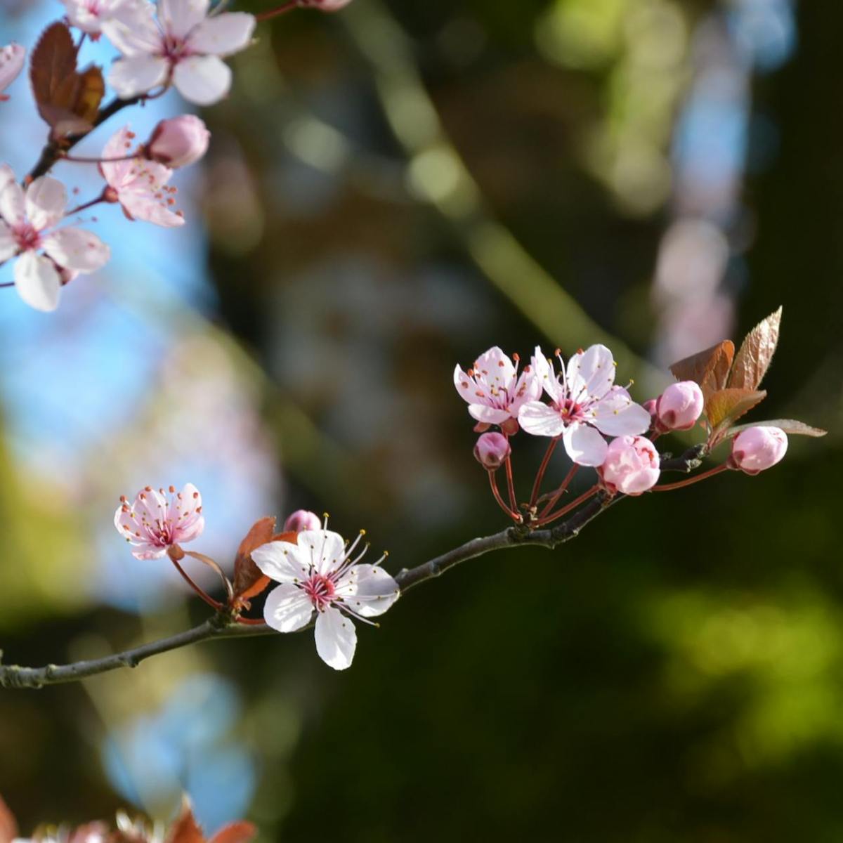 Vivere una vita&nbsp;autentica