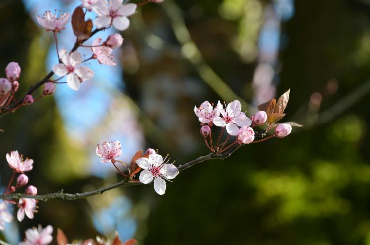 Vivere una vita&nbsp;autentica